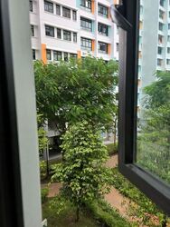 Blk 593B Montreal Ville (Sembawang), HDB 2 Rooms #578102511